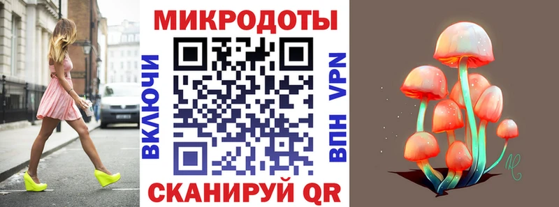 Галлюциногенные грибы Psilocybe  нарко площадка какой сайт  Ардатов  купить наркотик 