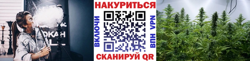 блэк спрут маркетплейс где можно купить наркотик Ардатов Шишки марихуана Bruce Banner